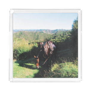 New Zealand Horse Ranch Acrylic Tray