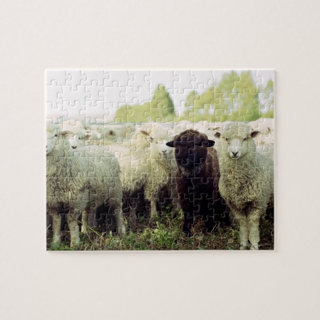 New Zealand Jigsaw Puzzle (Horizontal)