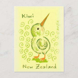 New Zealand Kiwi Bird Postcard