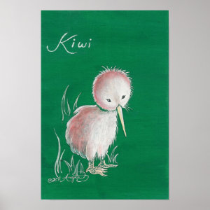 New Zealand Kiwi Bird Poster