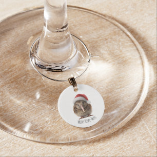 New Zealand Kiwi Christmas Party Favor