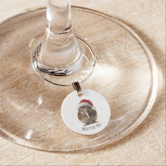New Zealand Kiwi Christmas Party Favor