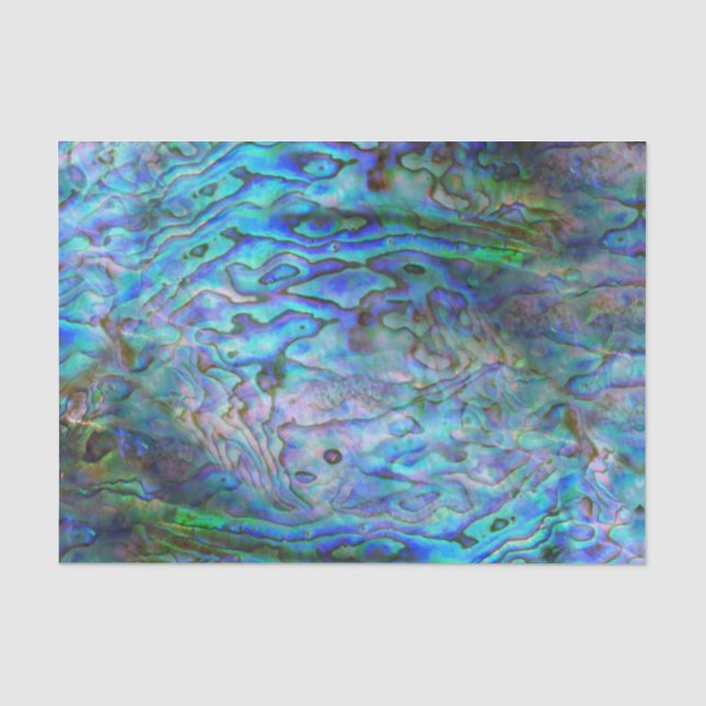 NEW ZEALAND KIWI PAUA TISSUE PAPER (Front)