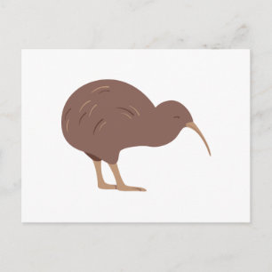 New Zealand Kiwi Postcard