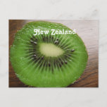 New Zealand Kiwi Postcard