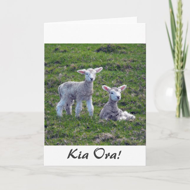 New Zealand Lambs Card (Front)