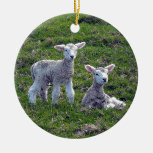 New Zealand Lambs Ceramic Ornament