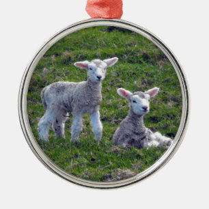 New Zealand Lambs Metal Ornament
