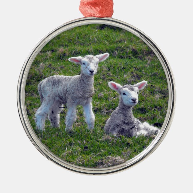 New Zealand Lambs Metal Ornament (Front)