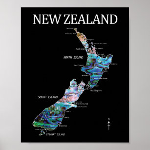 NEW ZEALAND MAP DETAILED PAUA POSTER