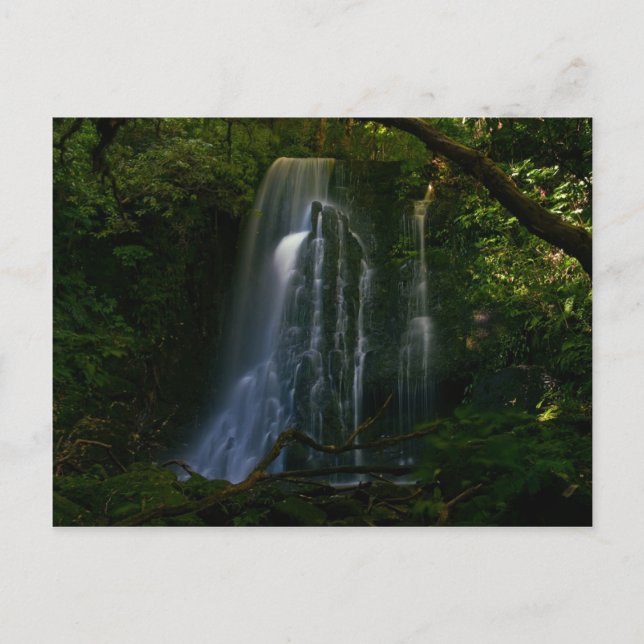 New Zealand: Matai Falls Postcard (Front)