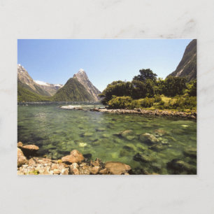 New Zealand, Mitre Peak, & Bowen River entering Postcard