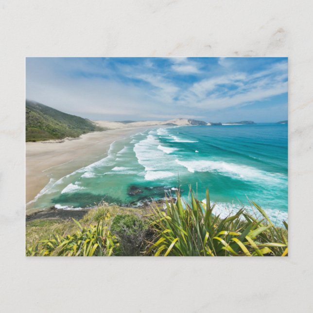 New Zealand, North Island, Cape Reinga 2 Postcard (Front)