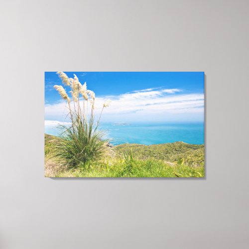 New Zealand North Island Cape Reinga Canvas Print