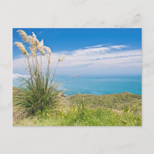 New Zealand, North Island, Cape Reinga Postcard (Front)