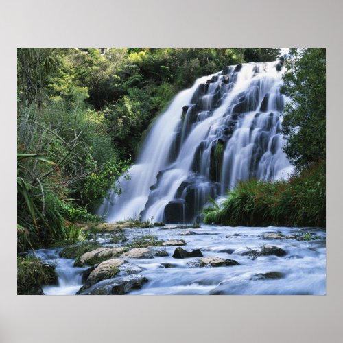 New Zealand North Island Karangahake Gorge Poster