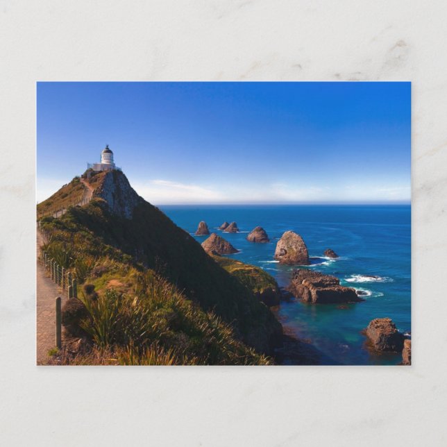 New Zealand: Nugget Point Postcard (Front)