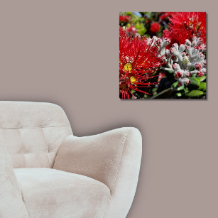 New Zealand Pohutukawa Tree Red Blossom Poster