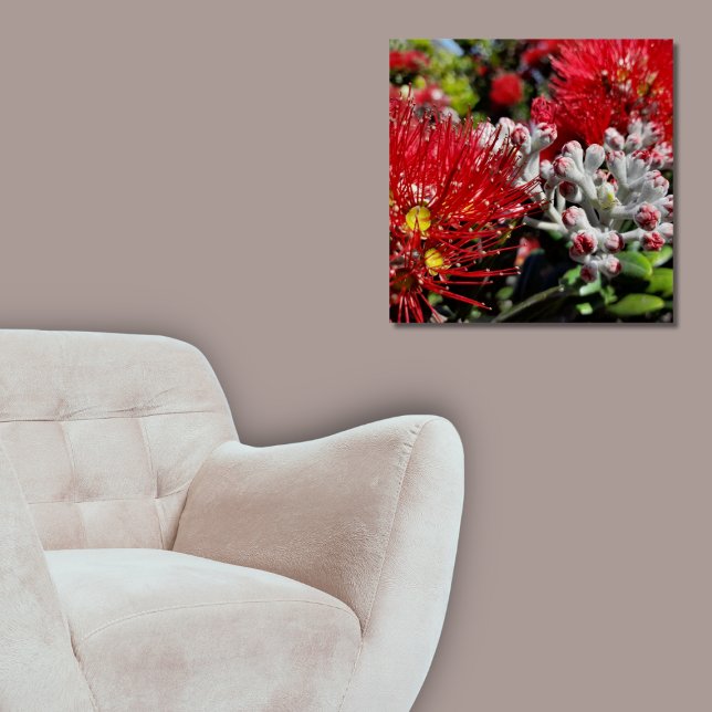 New Zealand Pohutukawa Tree Red Blossom Poster (New Zealand Pohutukawa Tree Red Blossom Poster, Living Room)