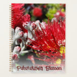 New Zealand Red Christmas Tree Blossom  Planner