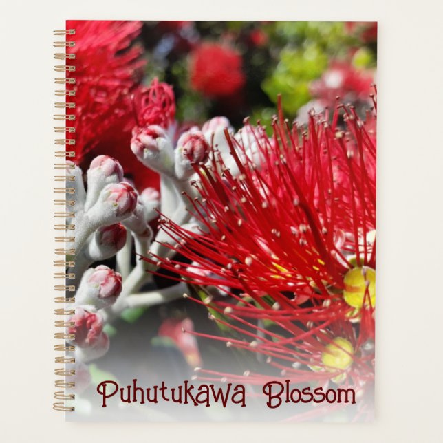 New Zealand Red Christmas Tree Blossom  Planner (Front)