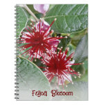 New Zealand Red Floral Feijoa Blossoms Notebook