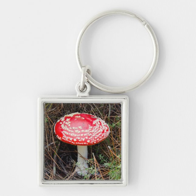 New Zealand, Rotorua, Taupo Volcanic Zone Keychain (Front)