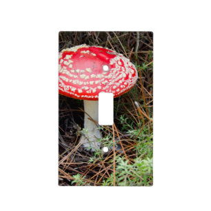 New Zealand, Rotorua, Taupo Volcanic Zone Light Switch Cover