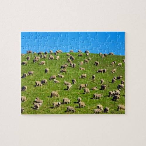 New Zealand South Island Canterbury Jigsaw Puzzle