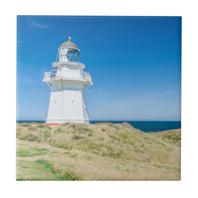 New Zealand, South Island, Catlins, Waipapa Ceramic Tile (Front)