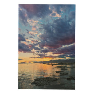 New Zealand, South Island, Kaikoura, South Bay Wood Wall Decor