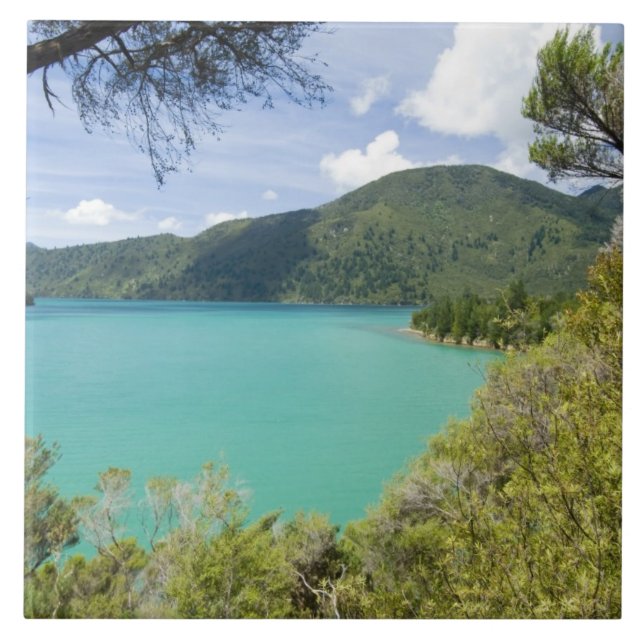 New Zealand, South Island, Marlborough Sounds. Ceramic Tile (Front)