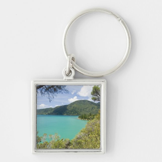 New Zealand, South Island, Marlborough Sounds. Keychain (Front)