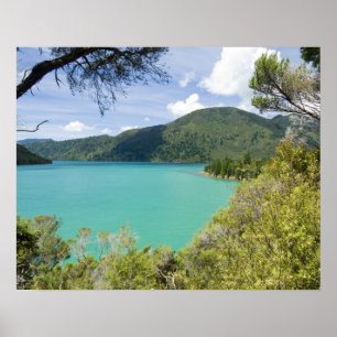 New Zealand, South Island, Marlborough Sounds. Poster