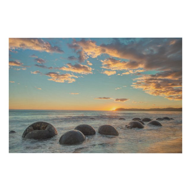 New Zealand, South Island, Moeraki Boulders Wood Wall Art (Front)