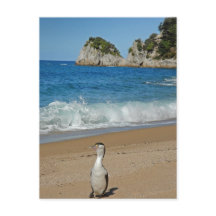 New Zealand South Island