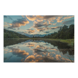 New Zealand, South Island, Westland National Wood Wall Decor