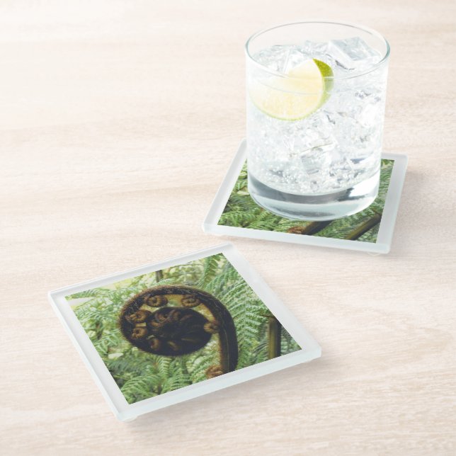 New Zealand Souvenir Fern Koru Photo Glass Coaster (Angled)