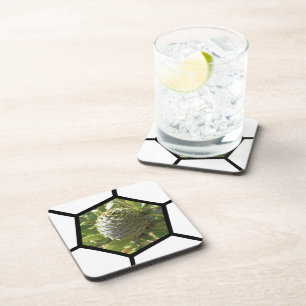 New Zealand Souvenir Kauri Cone Beverage Coaster