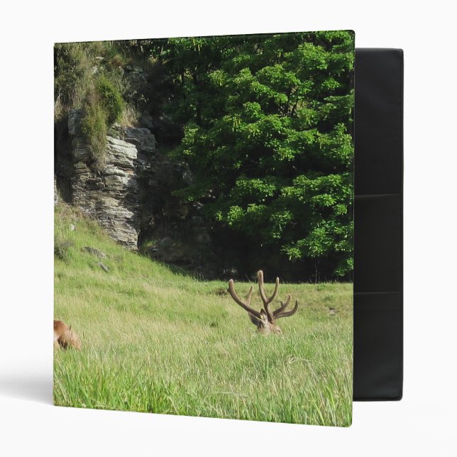 New Zealand Stags 3 Ring Binder (Front/Inside)