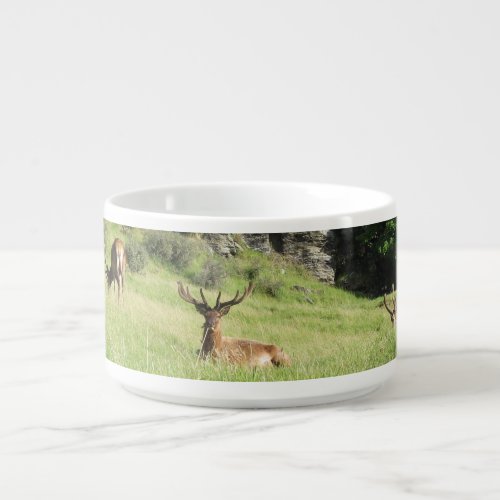 New Zealand Stags Bowl