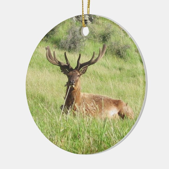 New Zealand Stags Ceramic Ornament (Left)