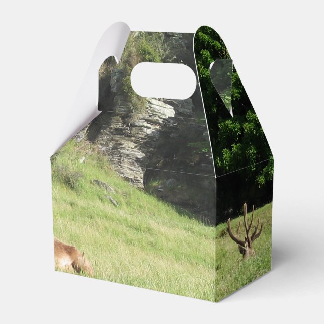 New Zealand Stags Favor Boxes (Front Side)