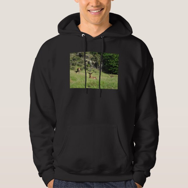 New Zealand Stags Hoodie (Front)