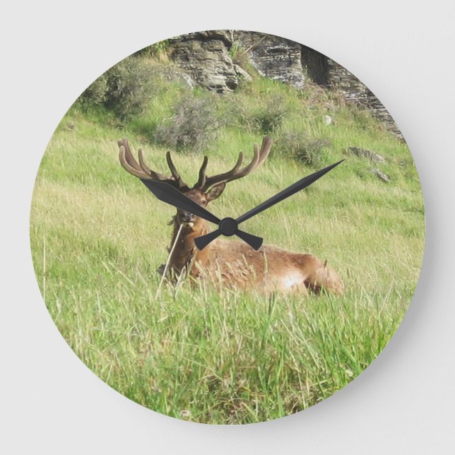 New Zealand Stags Large Clock (Front)