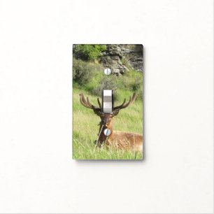 New Zealand Stags Light Switch Cover
