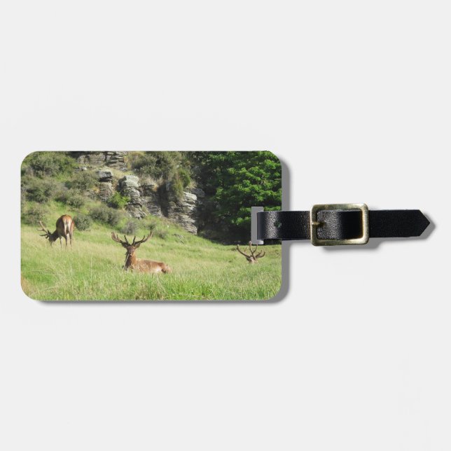 New Zealand Stags Luggage Tag (Front Horizontal)