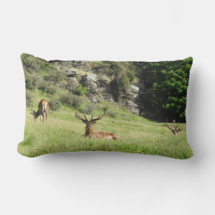 New Zealand Stags Lumbar Pillow