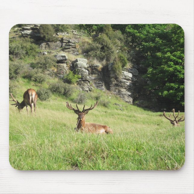New Zealand Stags Mouse Pad (Front)
