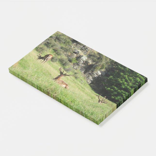 New Zealand Stags Post-it Notes (Angled)